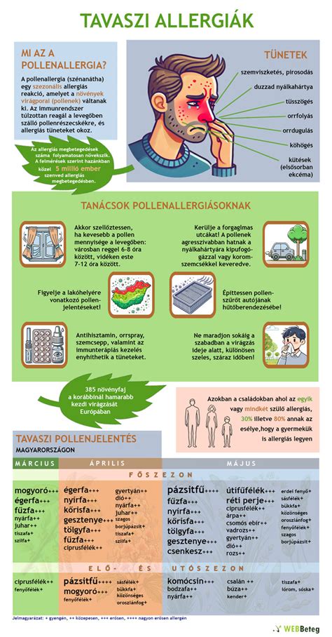 infografika az allergia típusairól és tüneteiről