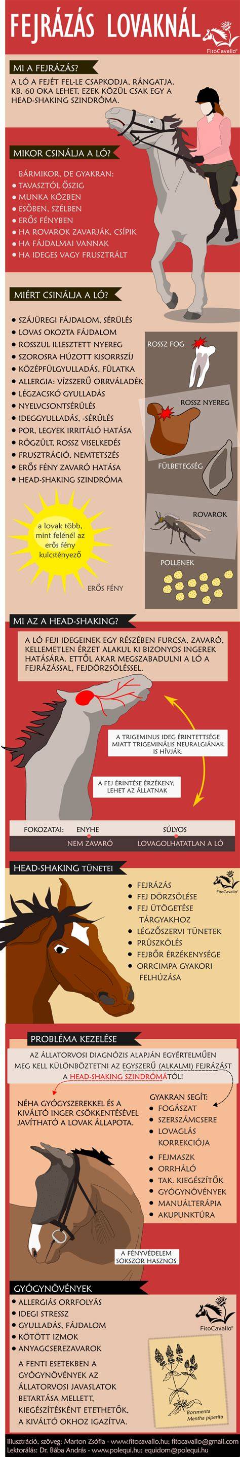 Infografika: Versenystruktúra és csapatdinamika
