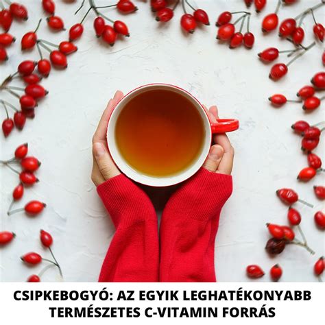 Infografika a csipkebogyó B-vitamin- és C-vitamin tartalmáról, kollagén-szabályozó hatásról, valamint a gyantázási lehetőségek összehasonlításáról