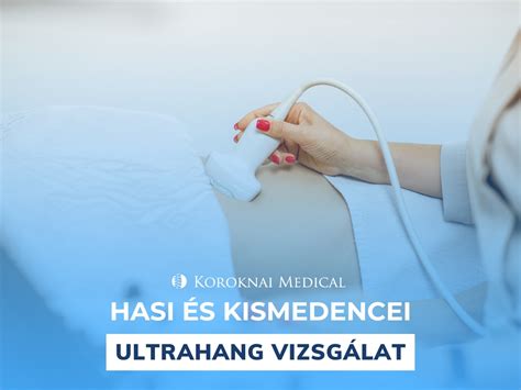 Macska ultrahang: hasi és szív vizsgálatának összefoglaló