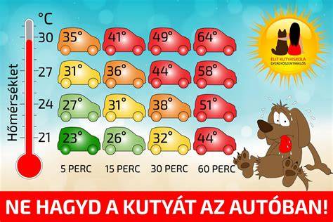 Parkoló autóban meleg kutyák figyelmeztető infografika