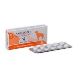 A nem szteroid gyulladáscsökkentők (NSAID) hatása a terhességre
