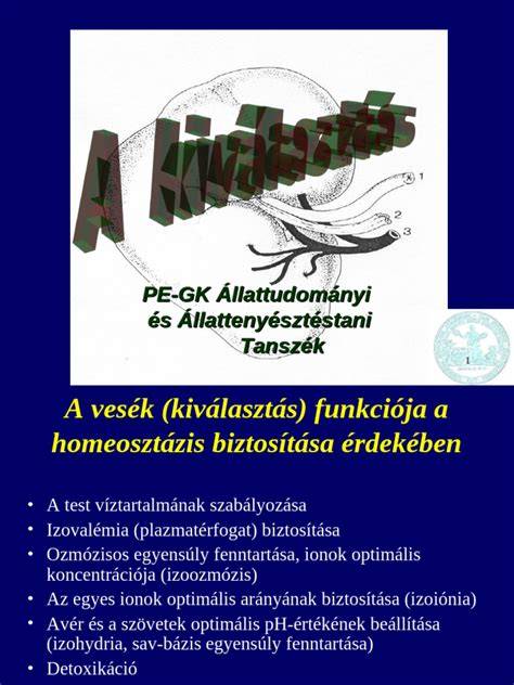 színárnyalat kiválasztás útmutató grafika