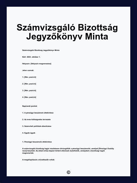 számvizsgáló bizottság ellenőrzés
