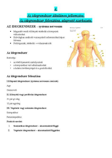Infografika: Készlet felépítése és funkciói