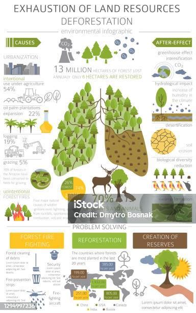 Infografika a környezeti lábnyom különbségéről