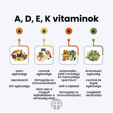 Összetevők infografika: vitaminok, szilikonok, pigmentek, olaj- és illatmentesség