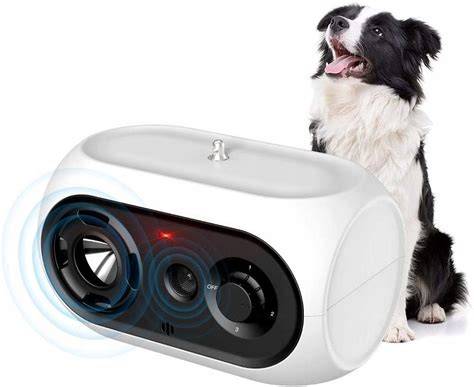 pirítás és bark kép