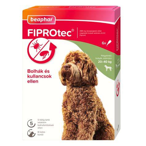 bolha és bőrbetegségek ábrázolása