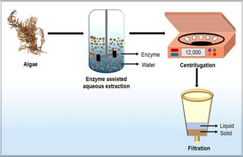 Graphic: plant-based extracts and enzyme-assisted extraction concept