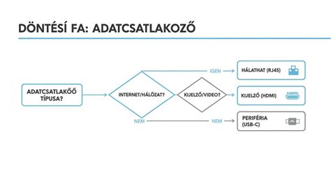 Infografika: hajfesték típusok áttekintése
