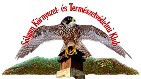 fodrászati engedélyek és környezet