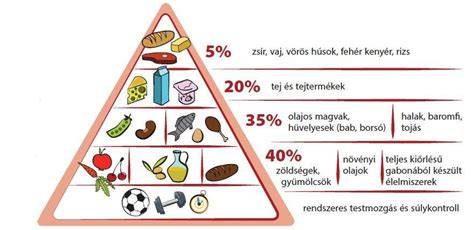 Térkép jellegű ábra: tápanyagforrások élelmiszercsoportok szerint (állati vs. növényi)