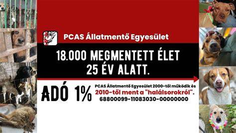 A film vizuális elemeiben megjelennek a parókák színei és formái, amelyek egy-egy hangulati állapotot és önkifejezést testesítenek meg.