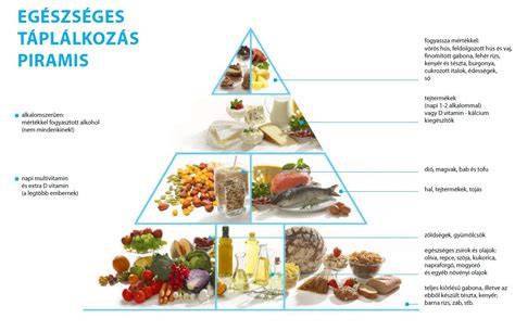 infografika_a_taplas_es_eletmod_osszefuggese.jpg