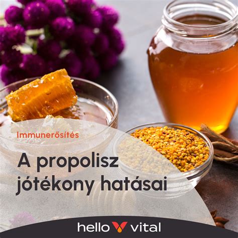 propolisz hatás immunrendszerre
