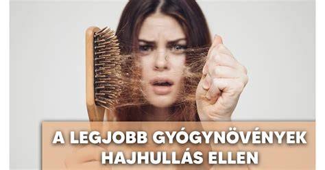 Gyógynövények a hajhullás ellen