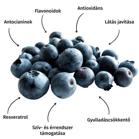 fekete-áfonya-hajszín-illusztráció