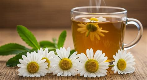 kamilla tea öblítés hajra