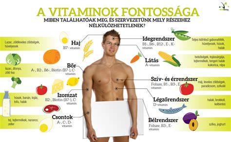 Infografika: hajfényező vitaminok kölcsönhatása a szervezetben