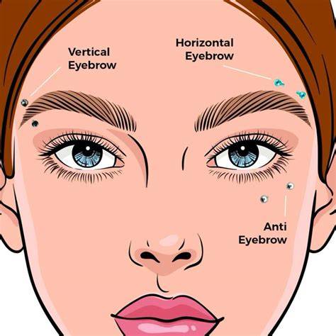 inerated-eyebrow-growth-diagram