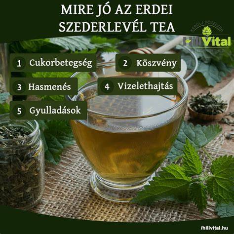 Kamilla- és erdei szederlevél tea összetevők