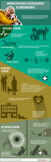 Infografika: gyakori macska bőrbetegségek és tüneteik