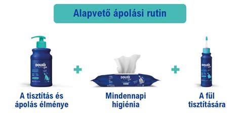 ápolási_rutin_hajmosás_szakszerűsége