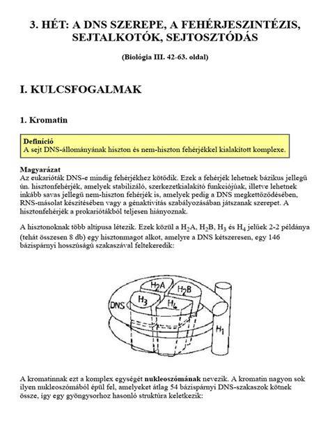 A cink szerepe a haj egészségében: pigmentáció, sejtosztódás, fehérjeszintézis