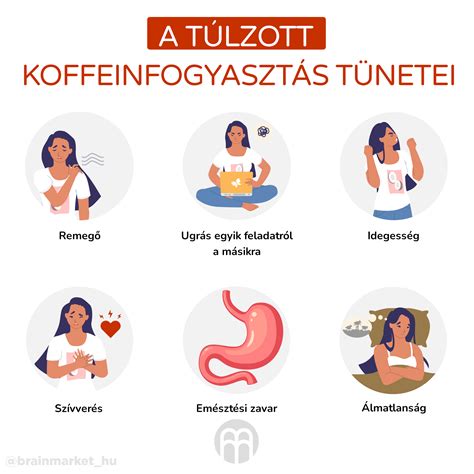 Infografika: Kopaszodási mechanizmus és koffein hatása a hajhagyományos növekedésre