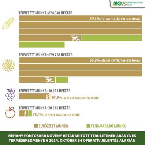 Infografika a dauer folyamatáról: előkészítés, felvitel, hatóidő, kisimulás