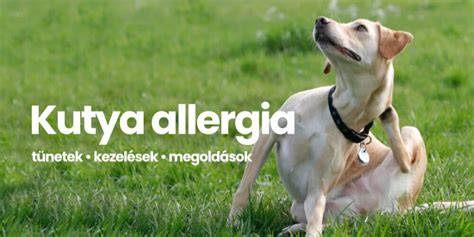 Allergia és irritációk kezelése