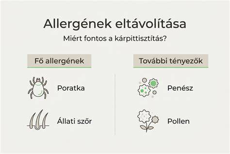 Infografika: milyen alapokat és árnyalatokat kombinálhatunk eperszőke hatás eléréséhez