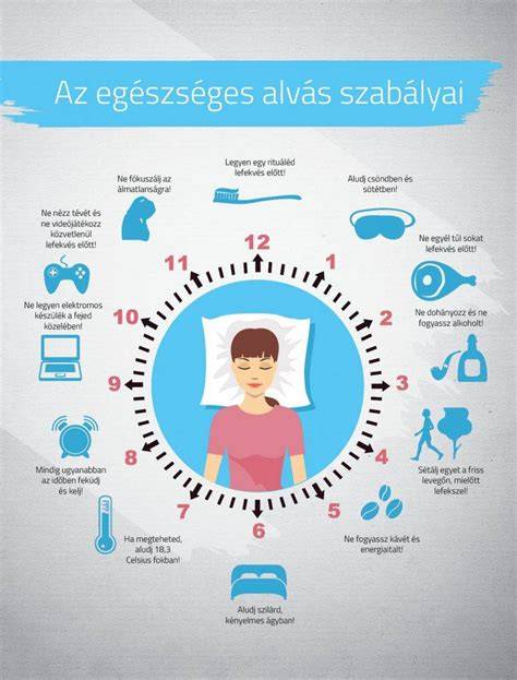 Egészséges hajápolási alapszabályok infografika