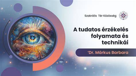 Infografika: A melírozás top technikái és azok jellemzői