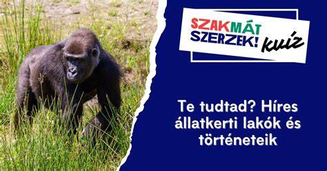 Híres elődök és lakók a ház történetében
