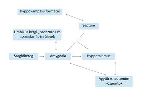alaphajvagasok sematikus abra