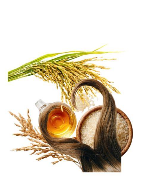 Keratin és mandulaolaj infografika
