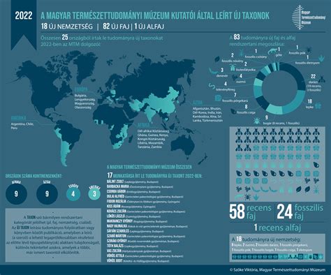 Infografika: „Perma-Lift és Perma-Tease” elméleti ábra a távolságokról és térfogatnövelő hatásról