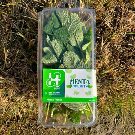 menta-labtest-izolalas