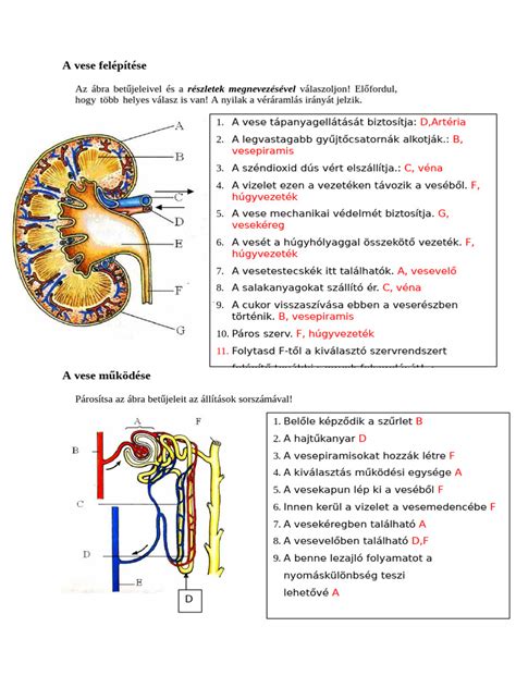 szemöldök tónus kiválasztás infografika