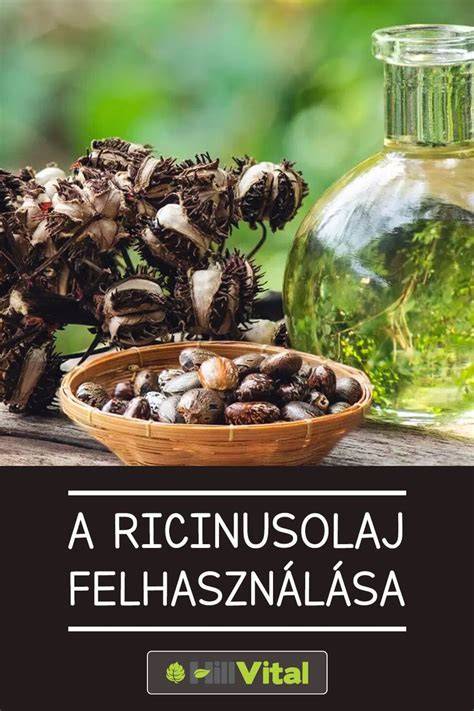 Infografika a ricinusolaj összetevőiről
