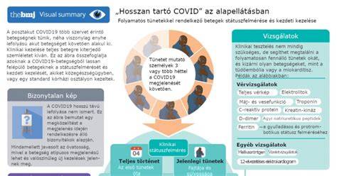 Képes infografika a hosszú haj formázási lehetőségeiről