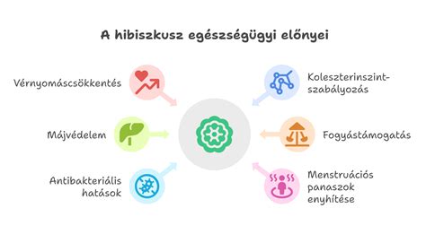 Infografika: Vitacare sampon hatóanyagok és hatások