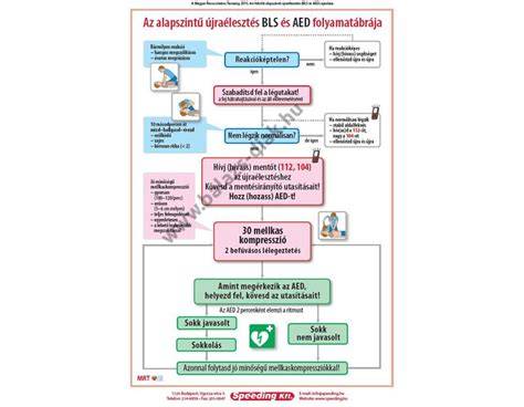 ábra: Visszapigmentálás technikája és lépései