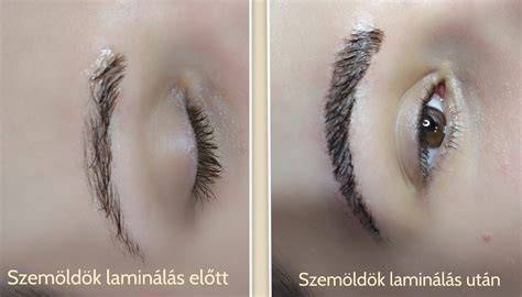 Infografika: szemöldök és szempilla élettartama és növekedési ciklusai