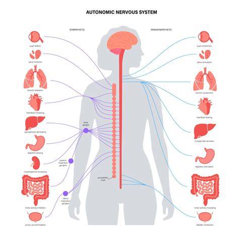szoborpozícionált átfogó infographic a folliculitisről