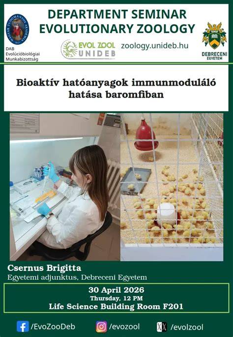 Infografika: A hajnövekedés ciklusa és a hatóanyagok hatása