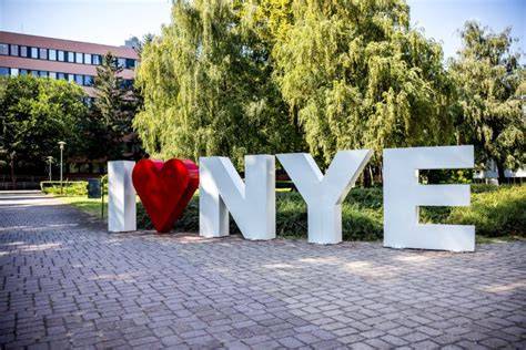 Hallgatók tanulnak egyetem után a könyvtárban