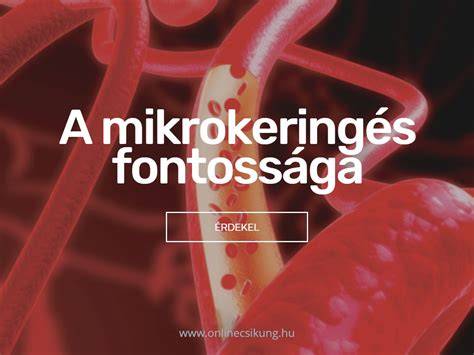 Infografika: Mikrokeringés növelése a fejbőrben koffeines samponnal